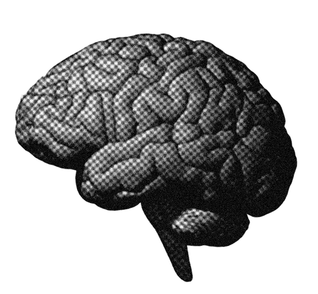 Sticker cerebro