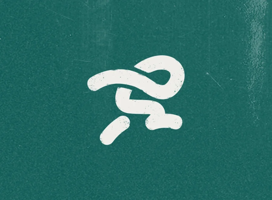 Anamorphia — identidad de marca por Crudo